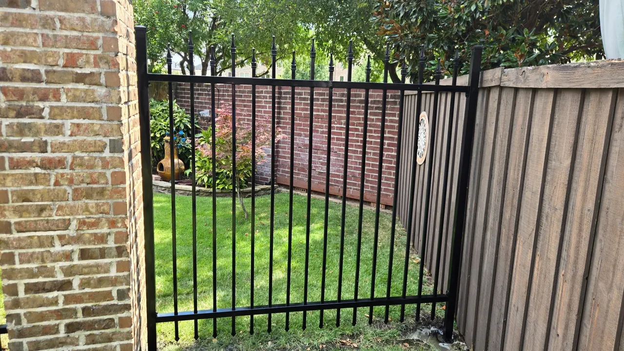 6 ft wrought iron fence with quad fennels. — Richardson