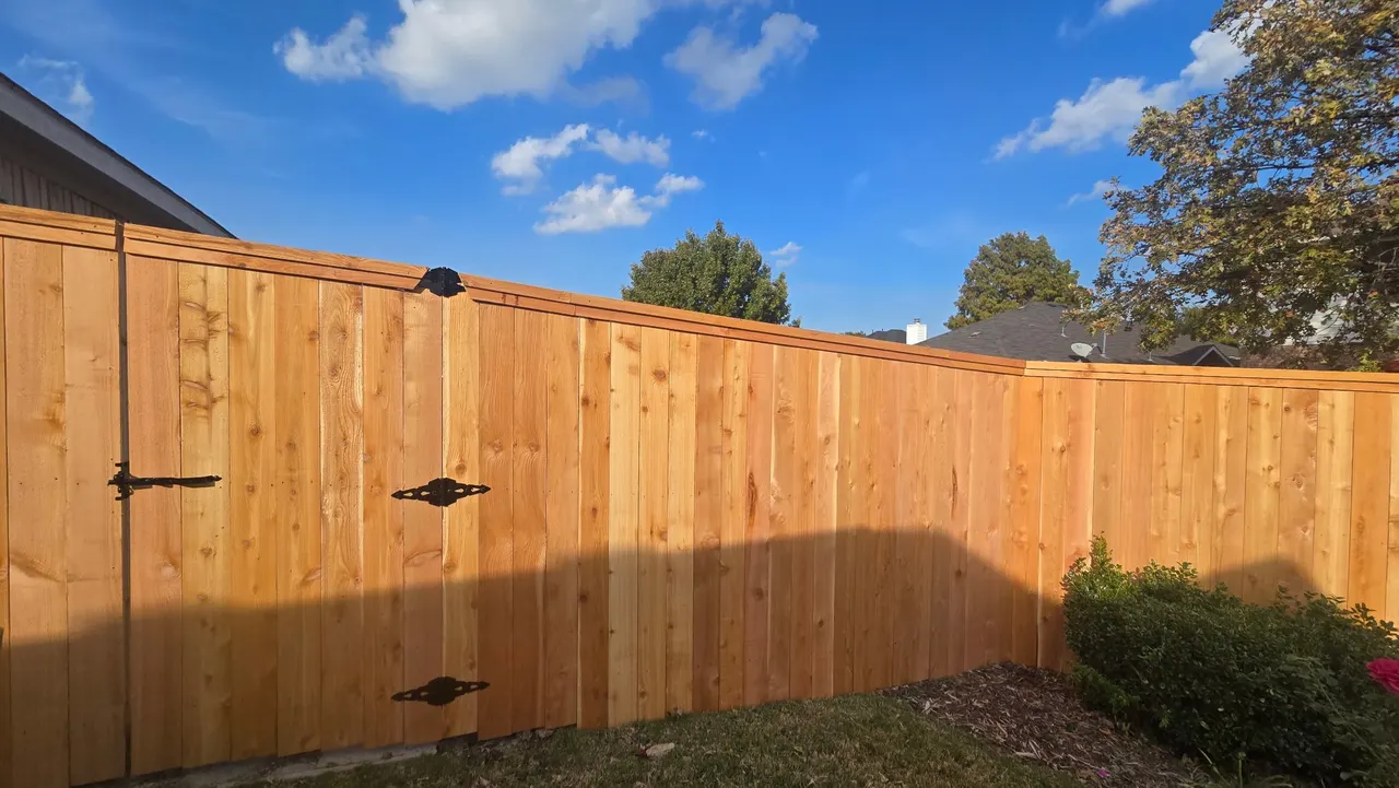 7 ft & 8 ft cedar fence with double trim — Dallas