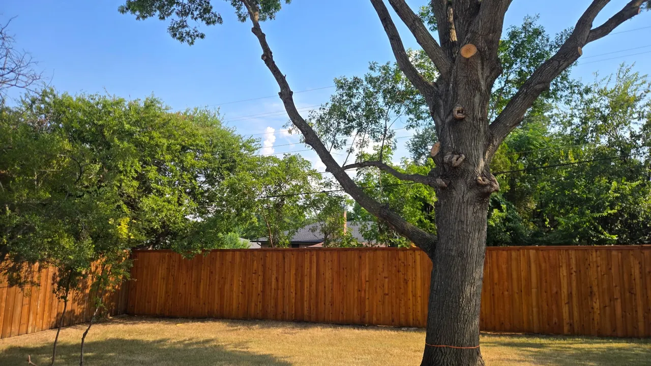 8 ft tall western red cedar board on board with double trim. Cedar split rail fence around the concrete patio. Fences stain with Golden cedar color stain. — Addison