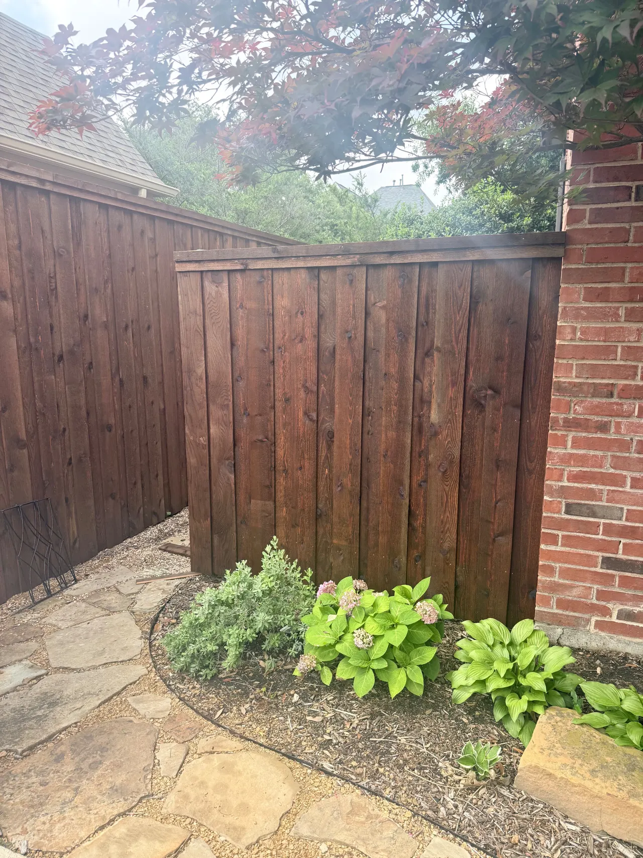 8ft Cedar Board on Board fence pre stained Classic Cedar tone color. — Plano